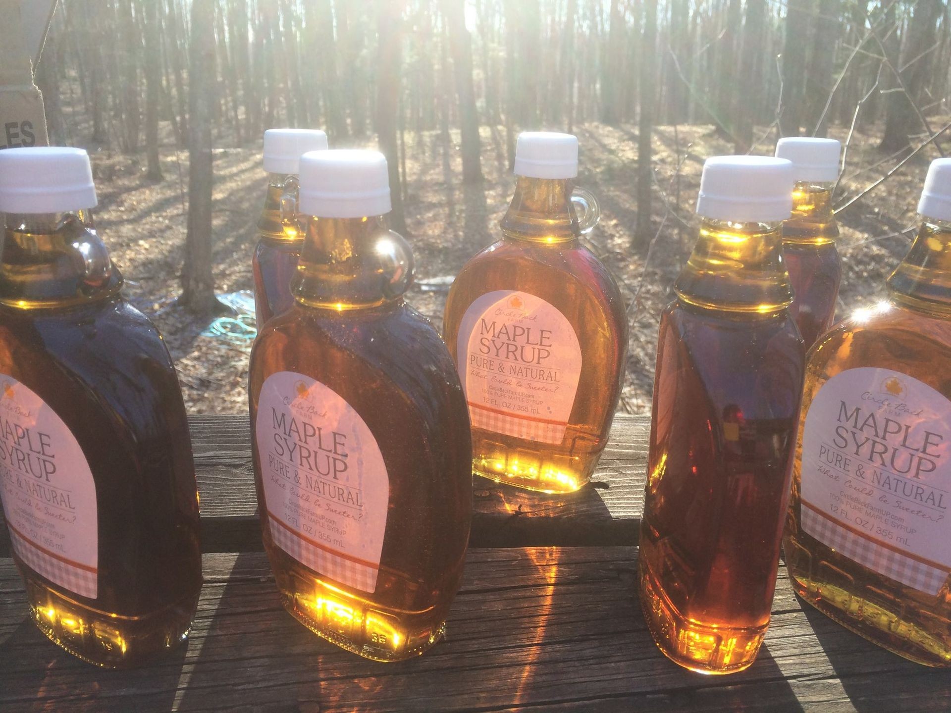 Circle Back Farm Organic Maple Syrup 